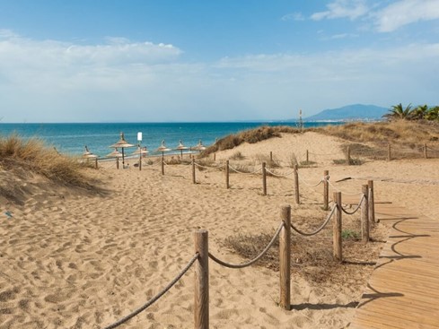 The Best Beaches of Malaga